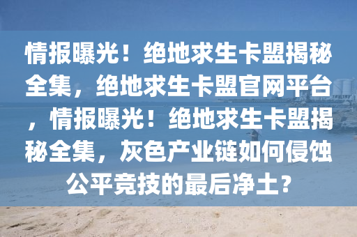 情报曝光！绝地求生卡盟揭秘全集，绝地求生卡盟官网平台，情报曝光！绝地求生卡盟揭秘全集，灰色产业链如何侵蚀公平竞技的最后净土？