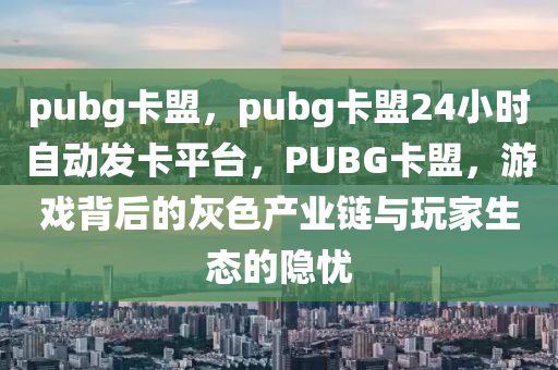 pubg卡盟，pubg卡盟24小时自动发卡平台，PUBG卡盟，游戏背后的灰色产业链与玩家生态的隐忧