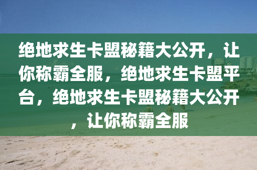 绝地求生卡盟秘籍大公开，让你称霸全服，绝地求生卡盟平台，绝地求生卡盟秘籍大公开，让你称霸全服