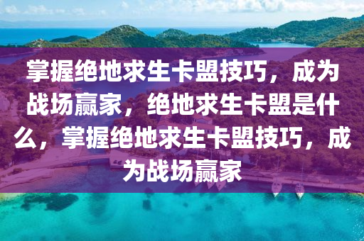 掌握绝地求生卡盟技巧，成为战场赢家，绝地求生卡盟是什么，掌握绝地求生卡盟技巧，成为战场赢家