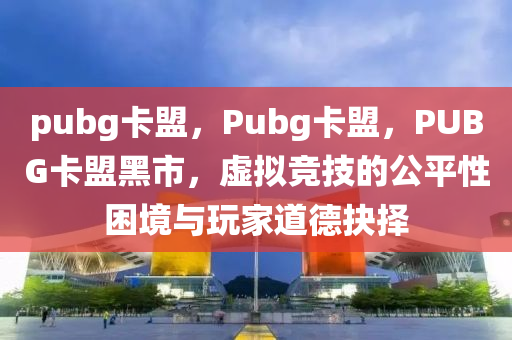 pubg卡盟，Pubg卡盟，PUBG卡盟黑市，虚拟竞技的公平性困境与玩家道德抉择