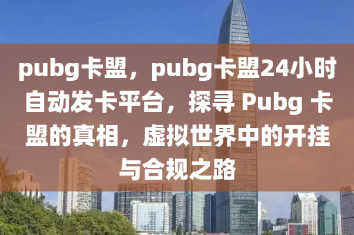 pubg卡盟，pubg卡盟24小时自动发卡平台，探寻 Pubg 卡盟的真相，虚拟世界中的开挂与合规之路