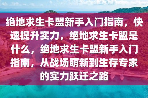 绝地求生卡盟新手入门指南，快速提升实力，绝地求生卡盟是什么，绝地求生卡盟新手入门指南，从战场萌新到生存专家的实力跃迁之路