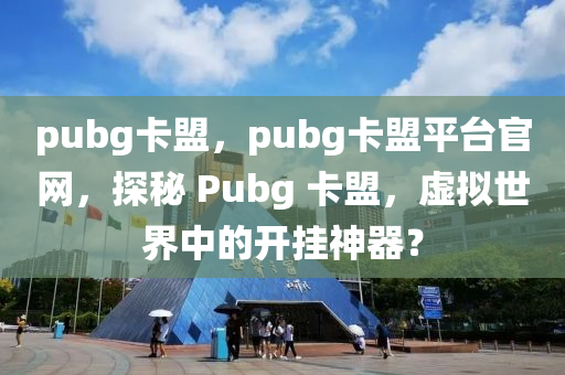 pubg卡盟，pubg卡盟平台官网，探秘 Pubg 卡盟，虚拟世界中的开挂神器？