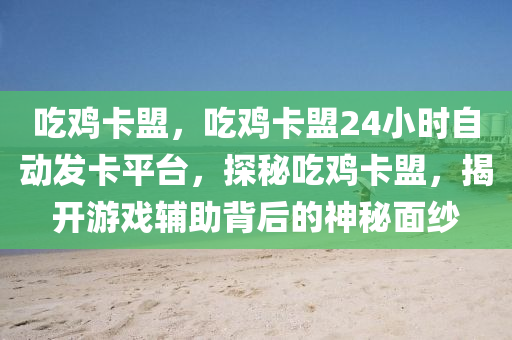 吃鸡卡盟，吃鸡卡盟24小时自动发卡平台，探秘吃鸡卡盟，揭开游戏辅助背后的神秘面纱