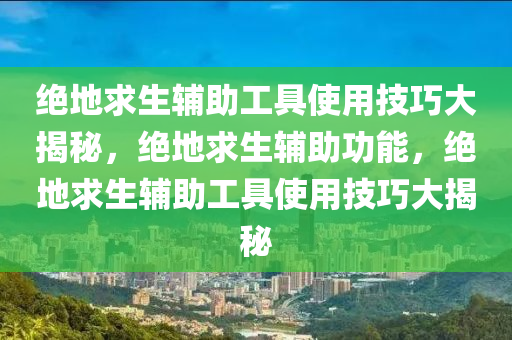 绝地求生辅助工具使用技巧大揭秘，绝地求生辅助功能，绝地求生辅助工具使用技巧大揭秘
