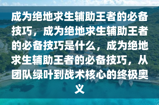 成为绝地求生辅助王者的必备技巧，成为绝地求生辅助王者的必备技巧是什么，成为绝地求生辅助王者的必备技巧，从团队绿叶到战术核心的终极奥义