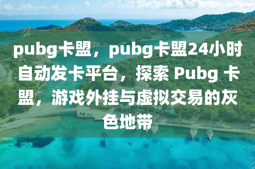 pubg卡盟，pubg卡盟24小时自动发卡平台，探索 Pubg 卡盟，游戏外挂与虚拟交易的灰色地带