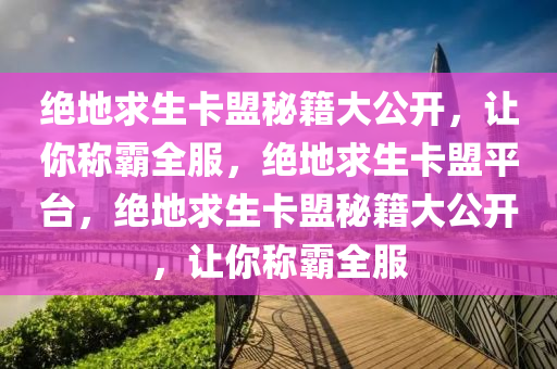 绝地求生卡盟秘籍大公开，让你称霸全服，绝地求生卡盟平台，绝地求生卡盟秘籍大公开，让你称霸全服