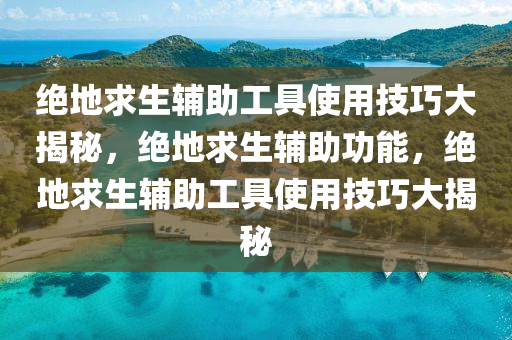 绝地求生辅助工具使用技巧大揭秘，绝地求生辅助功能，绝地求生辅助工具使用技巧大揭秘