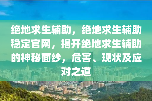 绝地求生辅助，绝地求生辅助稳定官网，揭开绝地求生辅助的神秘面纱，危害、现状及应对之道