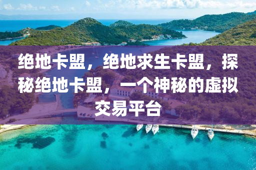 绝地卡盟，绝地求生卡盟，探秘绝地卡盟，一个神秘的虚拟交易平台