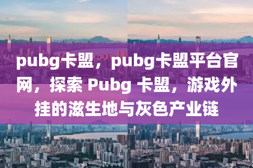 pubg卡盟，pubg卡盟平台官网，探索 Pubg 卡盟，游戏外挂的滋生地与灰色产业链