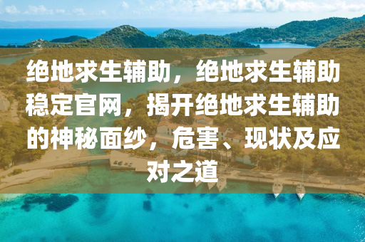绝地求生辅助，绝地求生辅助稳定官网，揭开绝地求生辅助的神秘面纱，危害、现状及应对之道