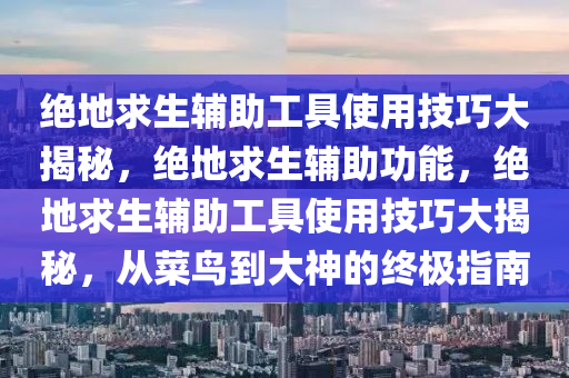 绝地求生辅助工具使用技巧大揭秘，绝地求生辅助功能，绝地求生辅助工具使用技巧大揭秘，从菜鸟到大神的终极指南