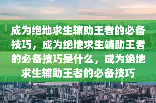 成为绝地求生辅助王者的必备技巧，成为绝地求生辅助王者的必备技巧是什么，成为绝地求生辅助王者的必备技巧