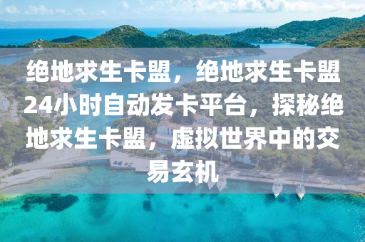 绝地求生卡盟，绝地求生卡盟24小时自动发卡平台，探秘绝地求生卡盟，虚拟世界中的交易玄机
