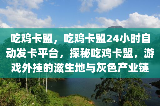 吃鸡卡盟，吃鸡卡盟24小时自动发卡平台，探秘吃鸡卡盟，游戏外挂的滋生地与灰色产业链