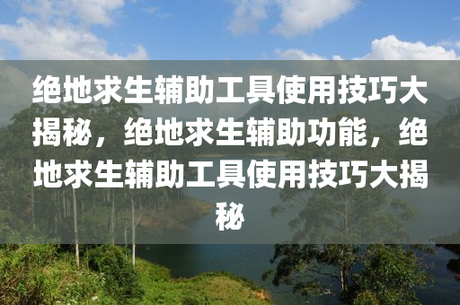 绝地求生辅助工具使用技巧大揭秘，绝地求生辅助功能，绝地求生辅助工具使用技巧大揭秘