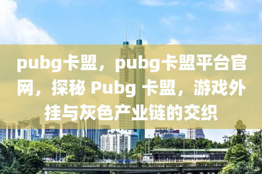 pubg卡盟，pubg卡盟平台官网，探秘 Pubg 卡盟，游戏外挂与灰色产业链的交织