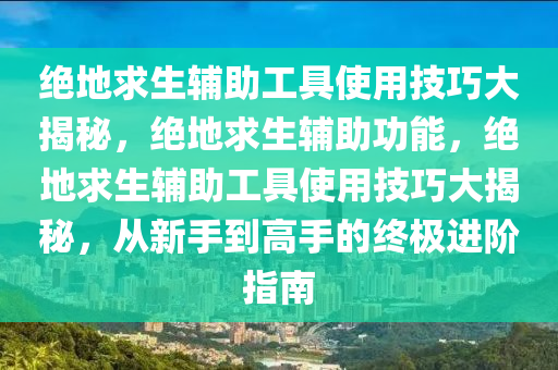 绝地求生辅助工具使用技巧大揭秘，绝地求生辅助功能，绝地求生辅助工具使用技巧大揭秘，从新手到高手的终极进阶指南