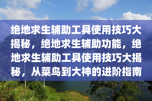 绝地求生辅助工具使用技巧大揭秘，绝地求生辅助功能，绝地求生辅助工具使用技巧大揭秘，从菜鸟到大神的进阶指南