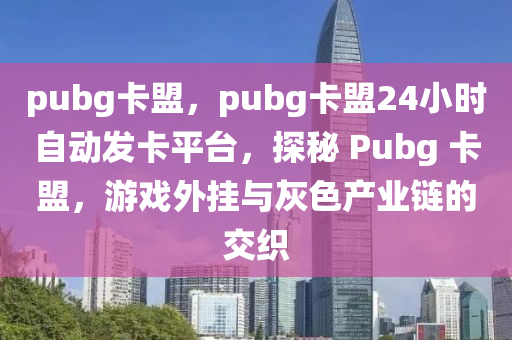 pubg卡盟，pubg卡盟24小时自动发卡平台，探秘 Pubg 卡盟，游戏外挂与灰色产业链的交织