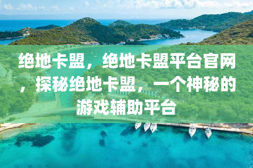 绝地卡盟，绝地卡盟平台官网，探秘绝地卡盟，一个神秘的游戏辅助平台
