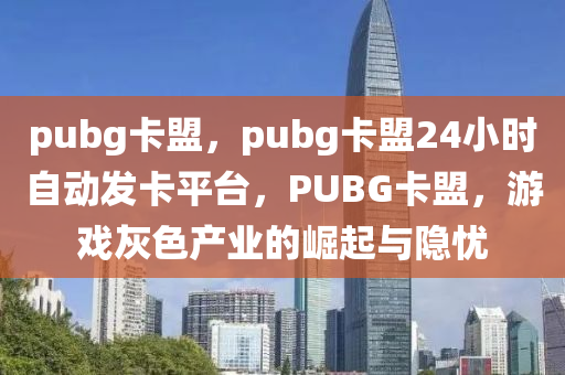pubg卡盟，pubg卡盟24小时自动发卡平台，PUBG卡盟，游戏灰色产业的崛起与隐忧
