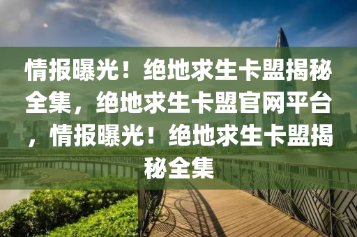 情报曝光！绝地求生卡盟揭秘全集，绝地求生卡盟官网平台，情报曝光！绝地求生卡盟揭秘全集