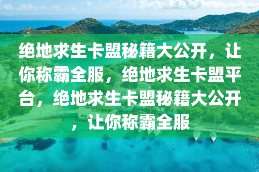 绝地求生卡盟秘籍大公开，让你称霸全服，绝地求生卡盟平台，绝地求生卡盟秘籍大公开，让你称霸全服