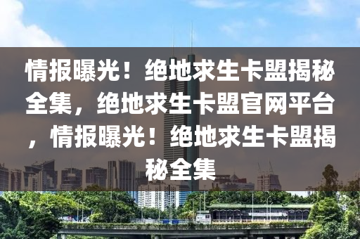 情报曝光！绝地求生卡盟揭秘全集，绝地求生卡盟官网平台，情报曝光！绝地求生卡盟揭秘全集