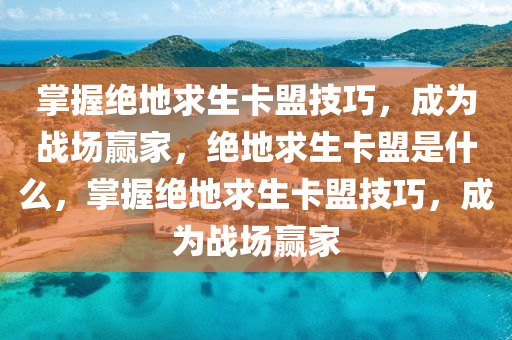 掌握绝地求生卡盟技巧，成为战场赢家，绝地求生卡盟是什么，掌握绝地求生卡盟技巧，成为战场赢家