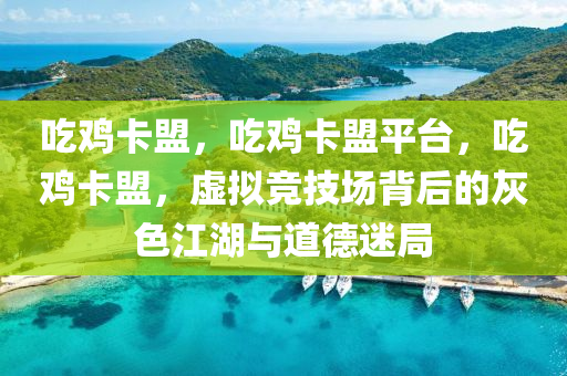 吃鸡卡盟，吃鸡卡盟平台，吃鸡卡盟，虚拟竞技场背后的灰色江湖与道德迷局
