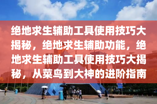 绝地求生辅助工具使用技巧大揭秘，绝地求生辅助功能，绝地求生辅助工具使用技巧大揭秘，从菜鸟到大神的进阶指南