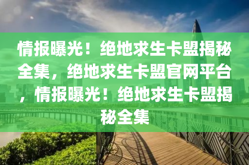 情报曝光！绝地求生卡盟揭秘全集，绝地求生卡盟官网平台，情报曝光！绝地求生卡盟揭秘全集
