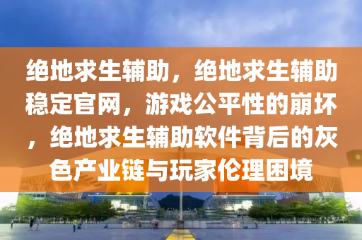 绝地求生辅助，绝地求生辅助稳定官网，游戏公平性的崩坏，绝地求生辅助软件背后的灰色产业链与玩家伦理困境