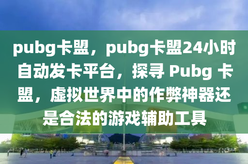 pubg卡盟，pubg卡盟24小时自动发卡平台，探寻 Pubg 卡盟，虚拟世界中的作弊神器还是合法的游戏辅助工具
