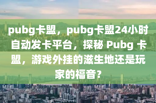 pubg卡盟，pubg卡盟24小时自动发卡平台，探秘 Pubg 卡盟，游戏外挂的滋生地还是玩家的福音？