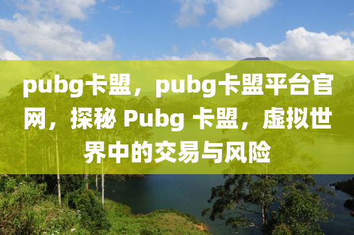 pubg卡盟，pubg卡盟平台官网，探秘 Pubg 卡盟，虚拟世界中的交易与风险