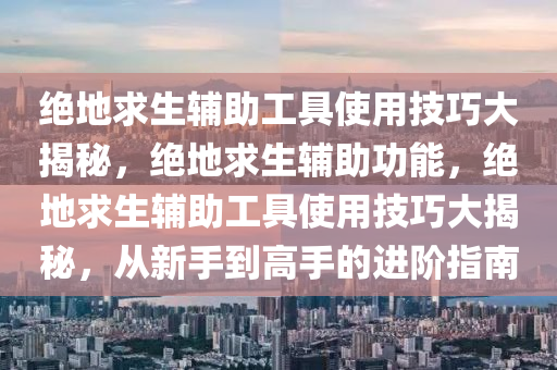绝地求生辅助工具使用技巧大揭秘，绝地求生辅助功能，绝地求生辅助工具使用技巧大揭秘，从新手到高手的进阶指南