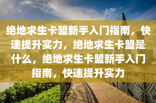 绝地求生卡盟新手入门指南，快速提升实力，绝地求生卡盟是什么，绝地求生卡盟新手入门指南，快速提升实力