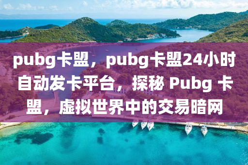 pubg卡盟，pubg卡盟24小时自动发卡平台，探秘 Pubg 卡盟，虚拟世界中的交易暗网