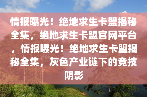 情报曝光！绝地求生卡盟揭秘全集，绝地求生卡盟官网平台，情报曝光！绝地求生卡盟揭秘全集，灰色产业链下的竞技阴影