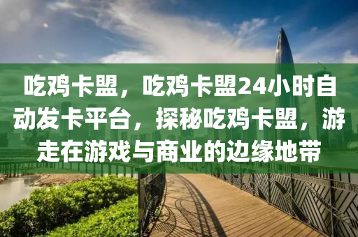吃鸡卡盟，吃鸡卡盟24小时自动发卡平台，探秘吃鸡卡盟，游走在游戏与商业的边缘地带