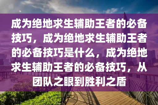 成为绝地求生辅助王者的必备技巧，成为绝地求生辅助王者的必备技巧是什么，成为绝地求生辅助王者的必备技巧，从团队之眼到胜利之盾