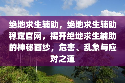 绝地求生辅助，绝地求生辅助稳定官网，揭开绝地求生辅助的神秘面纱，危害、乱象与应对之道