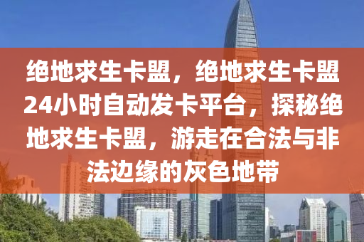 绝地求生卡盟，绝地求生卡盟24小时自动发卡平台，探秘绝地求生卡盟，游走在合法与非法边缘的灰色地带