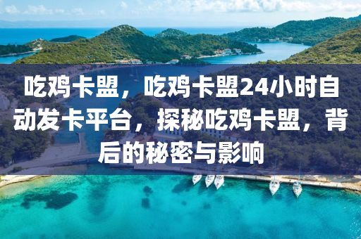 吃鸡卡盟，吃鸡卡盟24小时自动发卡平台，探秘吃鸡卡盟，背后的秘密与影响