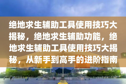 绝地求生辅助工具使用技巧大揭秘，绝地求生辅助功能，绝地求生辅助工具使用技巧大揭秘，从新手到高手的进阶指南
